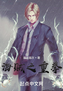 海贼之重拳