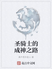 圣骑士之路