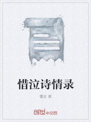 惜泣诗情录