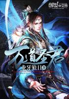 万道圣君