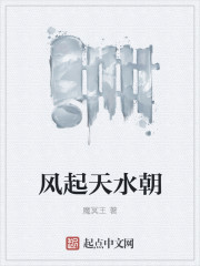 风起大宋