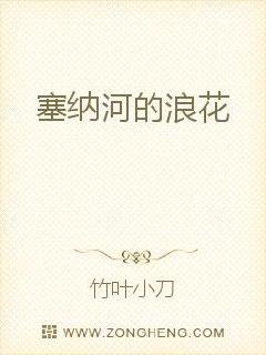 塞纳河的浪花