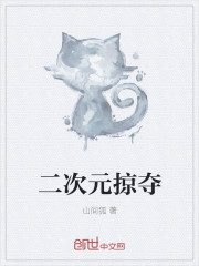 二次元掠夺