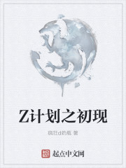 Z计划之初现