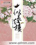 似是红楼