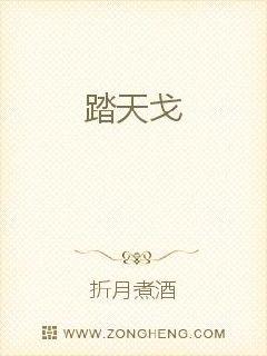 踏天戈