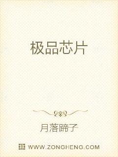 极品芯片