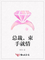 总裁，束手就情