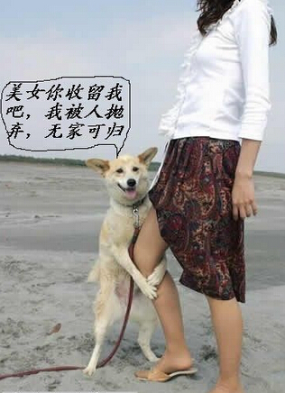 职业色狼